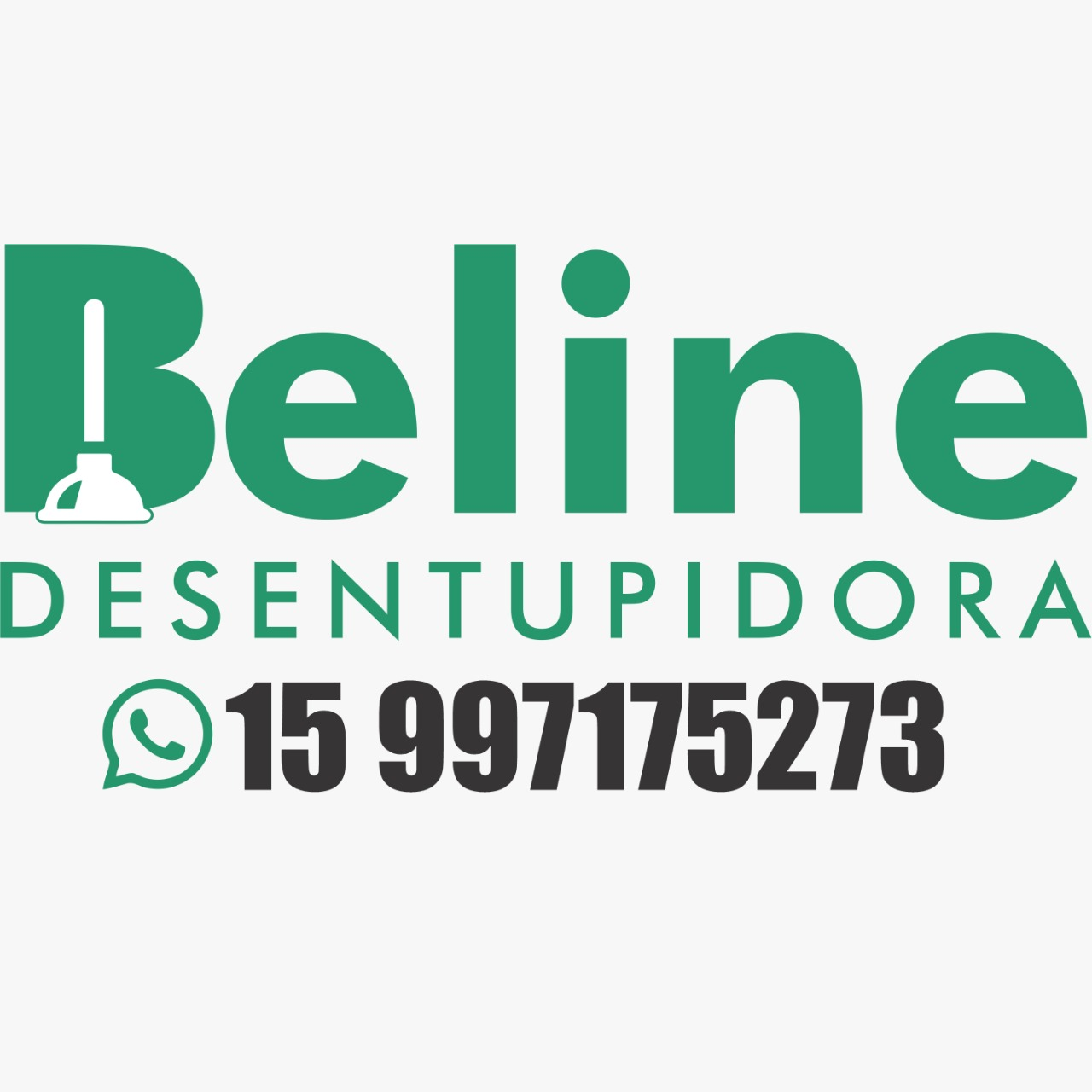 Logo Beline Desentopidora e Filtros de Água